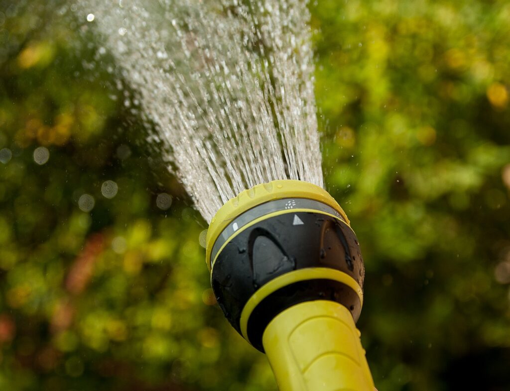 watering, water jet, gardener-1601145.jpg